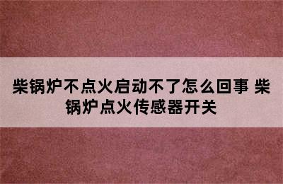 柴锅炉不点火启动不了怎么回事 柴锅炉点火传感器开关